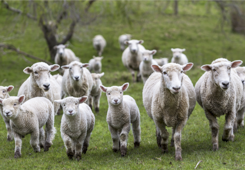 Fort Saskatchewan REALTOR with Century 21 Masters