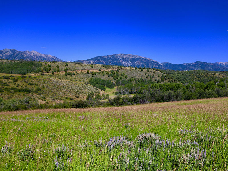 Star Valley Wyoming Real Estate CENTURY 21®