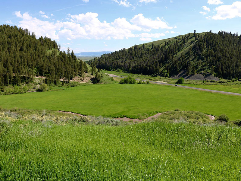 Star Valley Wyoming Real Estate CENTURY 21®