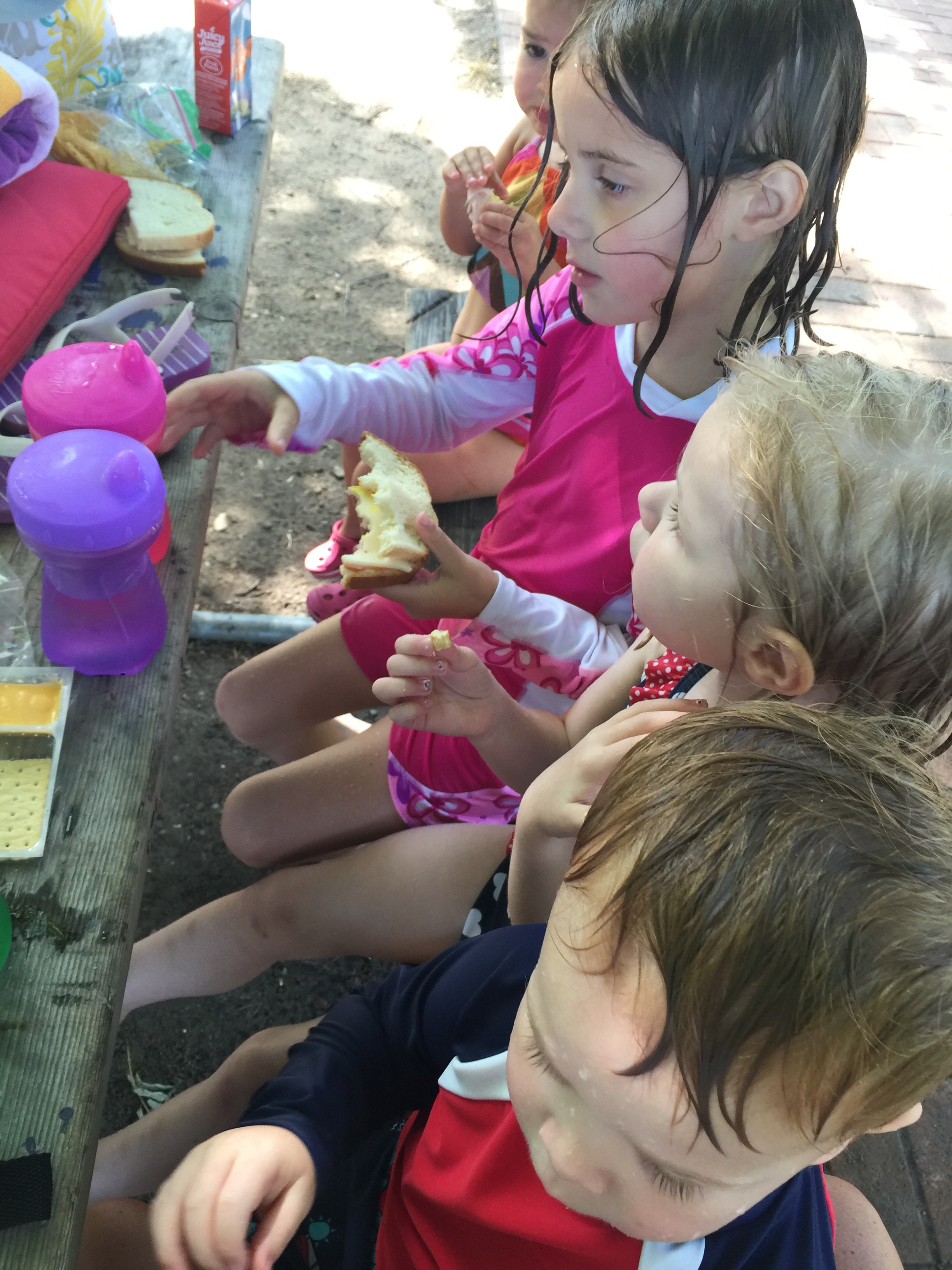 Tiny Toes Daycare, St. Louis CareLuLu