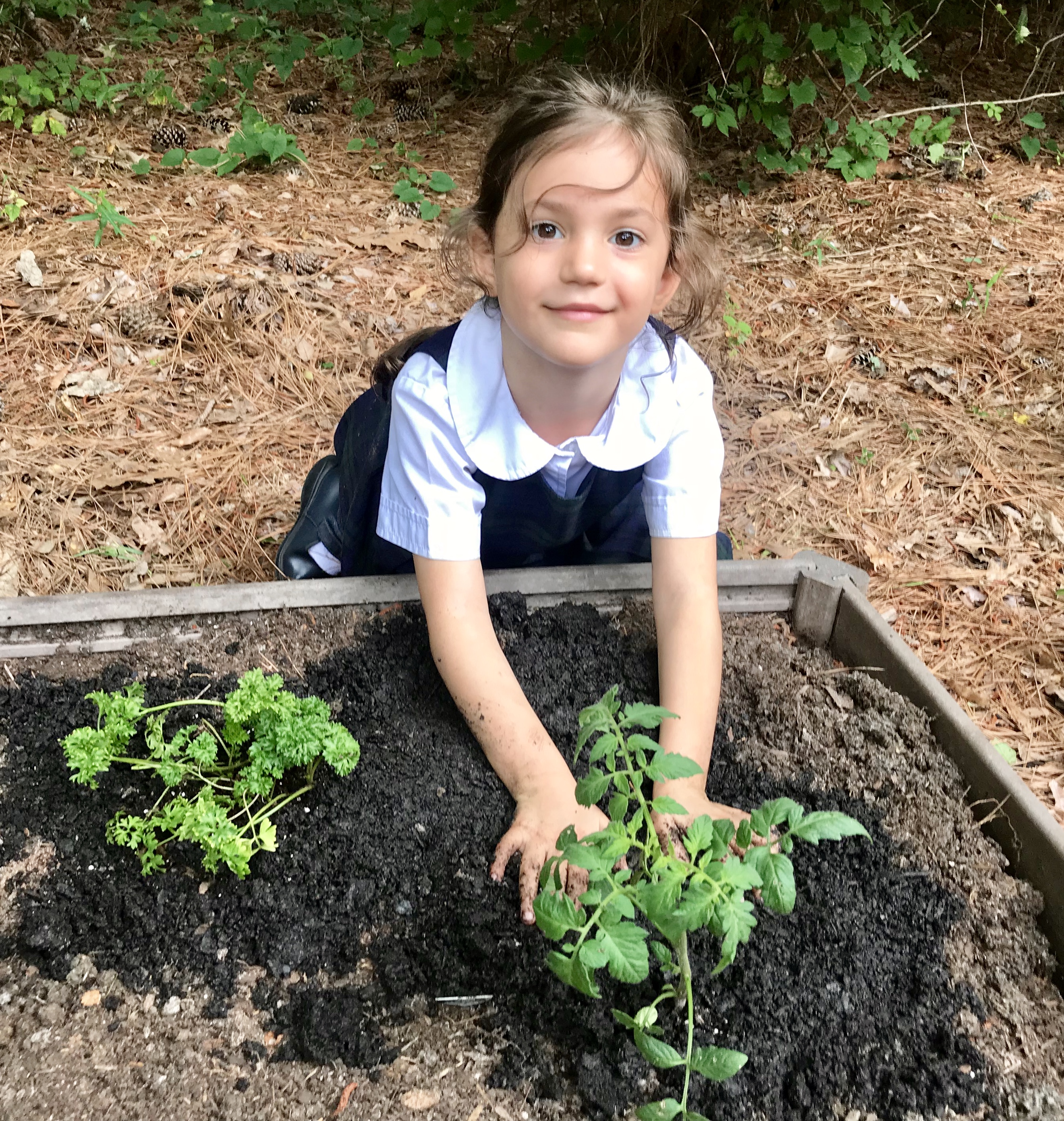The Schoolhouse at Greenwood Chapel Hill, NC CareLuLu