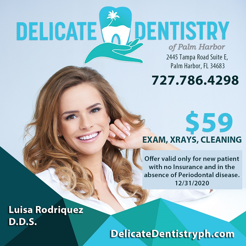 New Patient Specials Palm Harbor, Florida Delicate Dentistry of