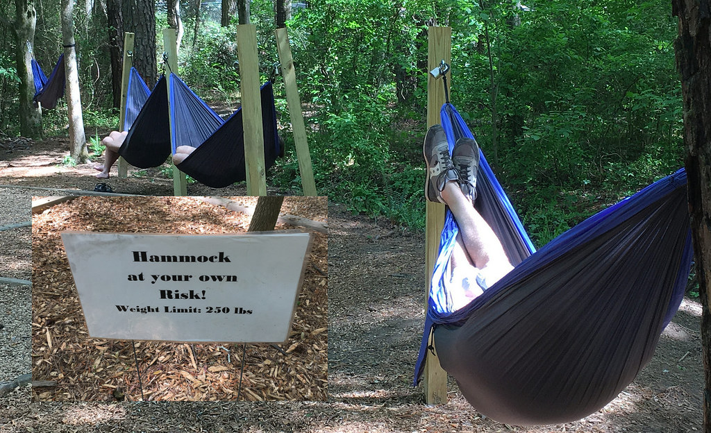 Heneghan’s Dunwoody Blog Dunwoody Park at the Dunwoody Nature Center