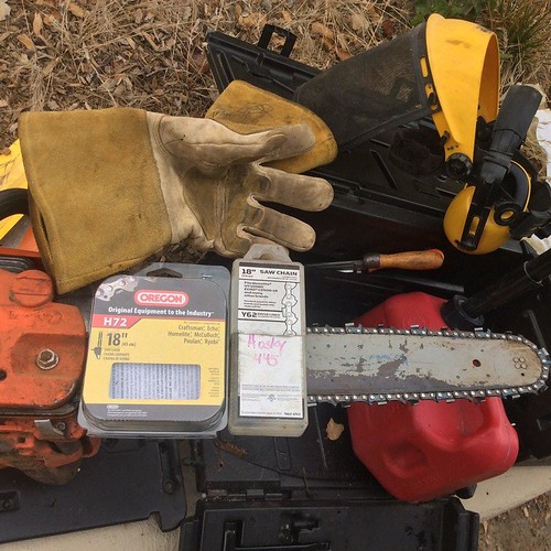 Was chain sawing a dead Monterey Pine today & had a few basic questions
