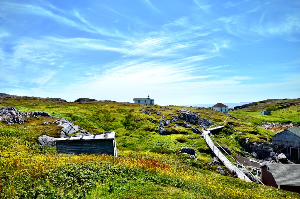 Visiting the Little Fogo Islands in Newfoundland An Unexpected Day Trip