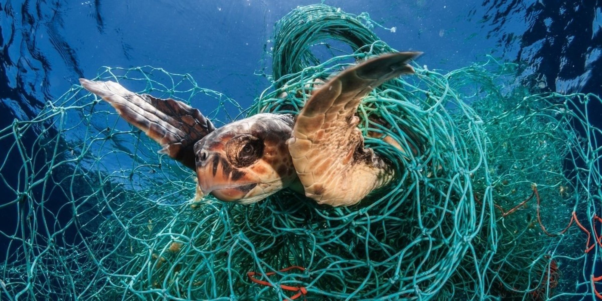 How Traditional Fisherman in India Are Cleaning the Ocean