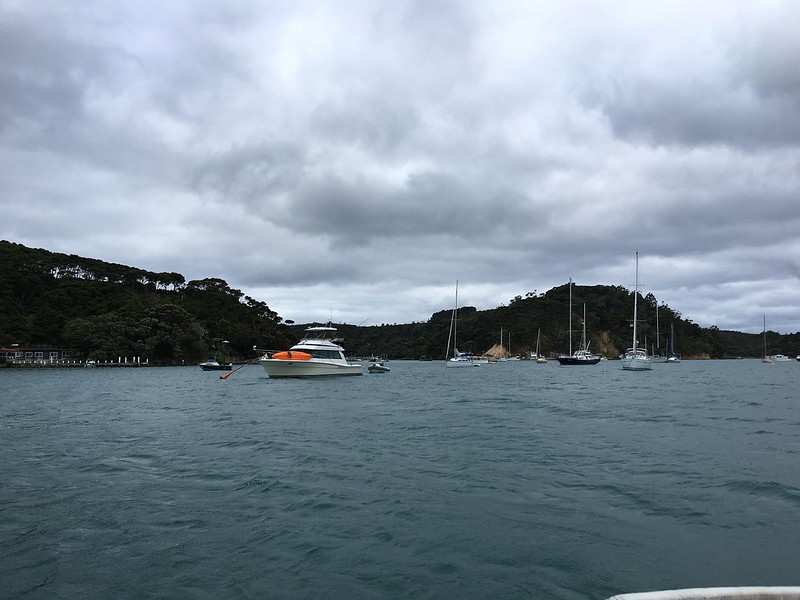 Return to North Cove Taleisin Adventure Machine!