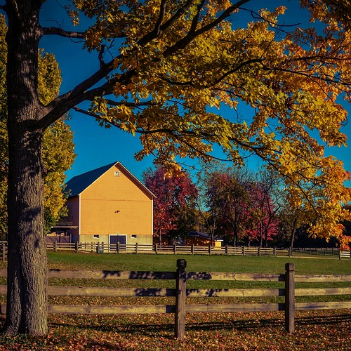 St. James Farm Forest Preserve in DuPage County, Illinois