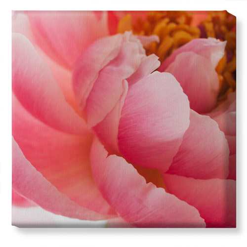 Photo Gallery Canvas Prints Shutterfly