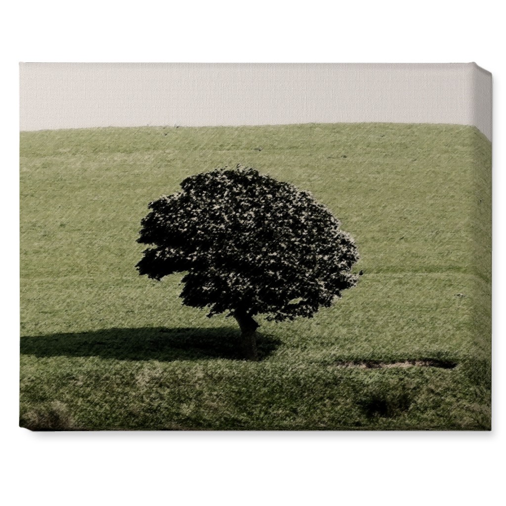 Cotton Wood Tree Wall Art Shutterfly