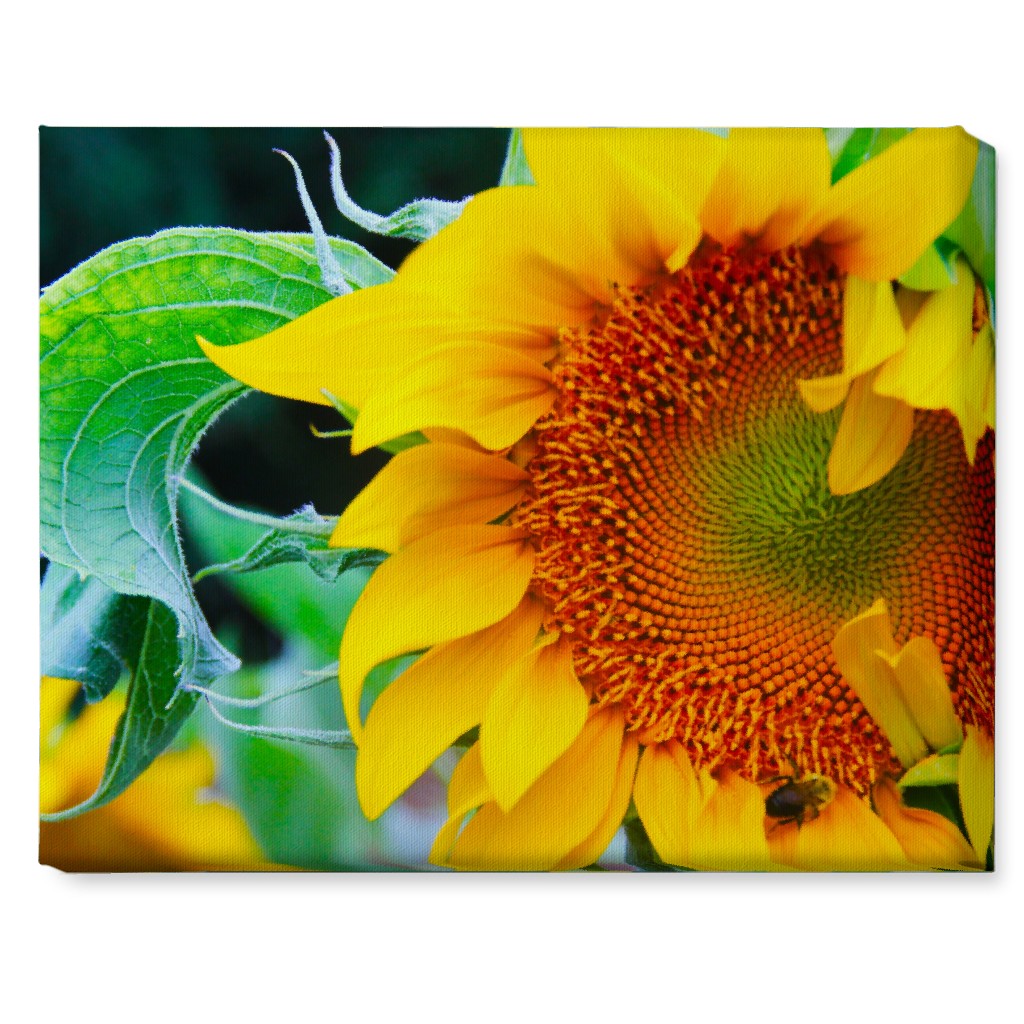 Big Sunflower Yellow Wall Art Shutterfly