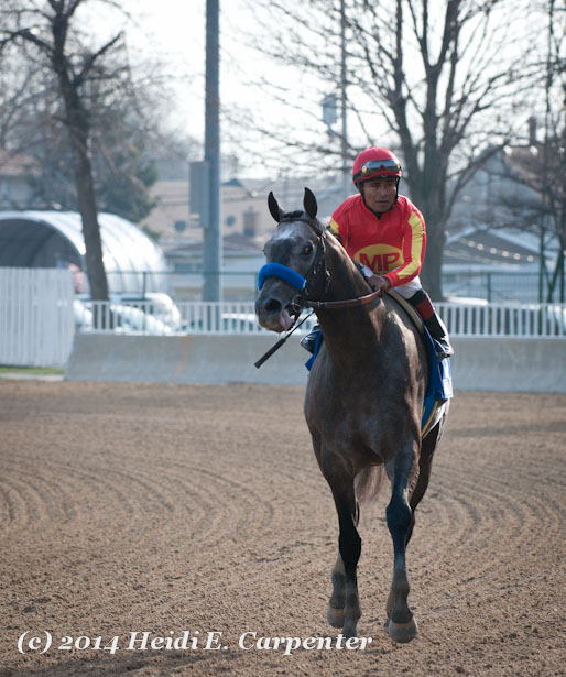 Illinois Derby Day at Hawthorne in Photos