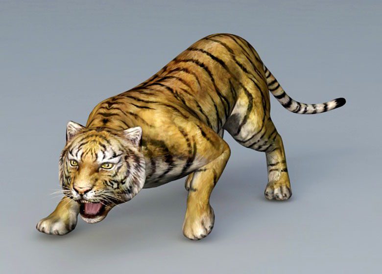 Tiger 3D Model Animals