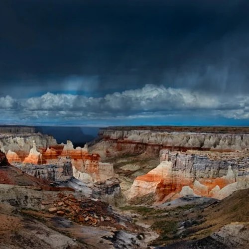 Insights C4 Recovery Foundation