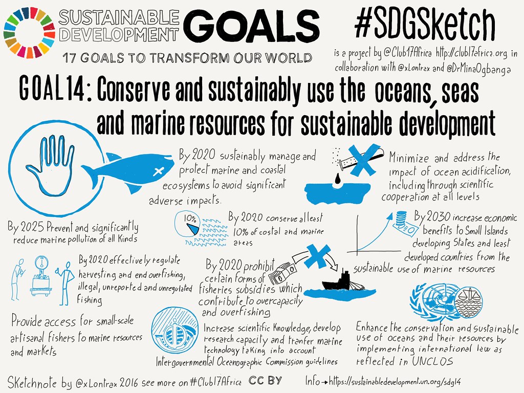 Sustainable Development Goals Sketchnote Project