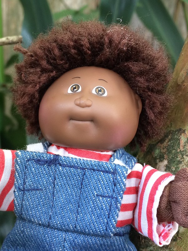 Revenge of the Toy Box Out of the Box Brenton Rudy and his Barnyard