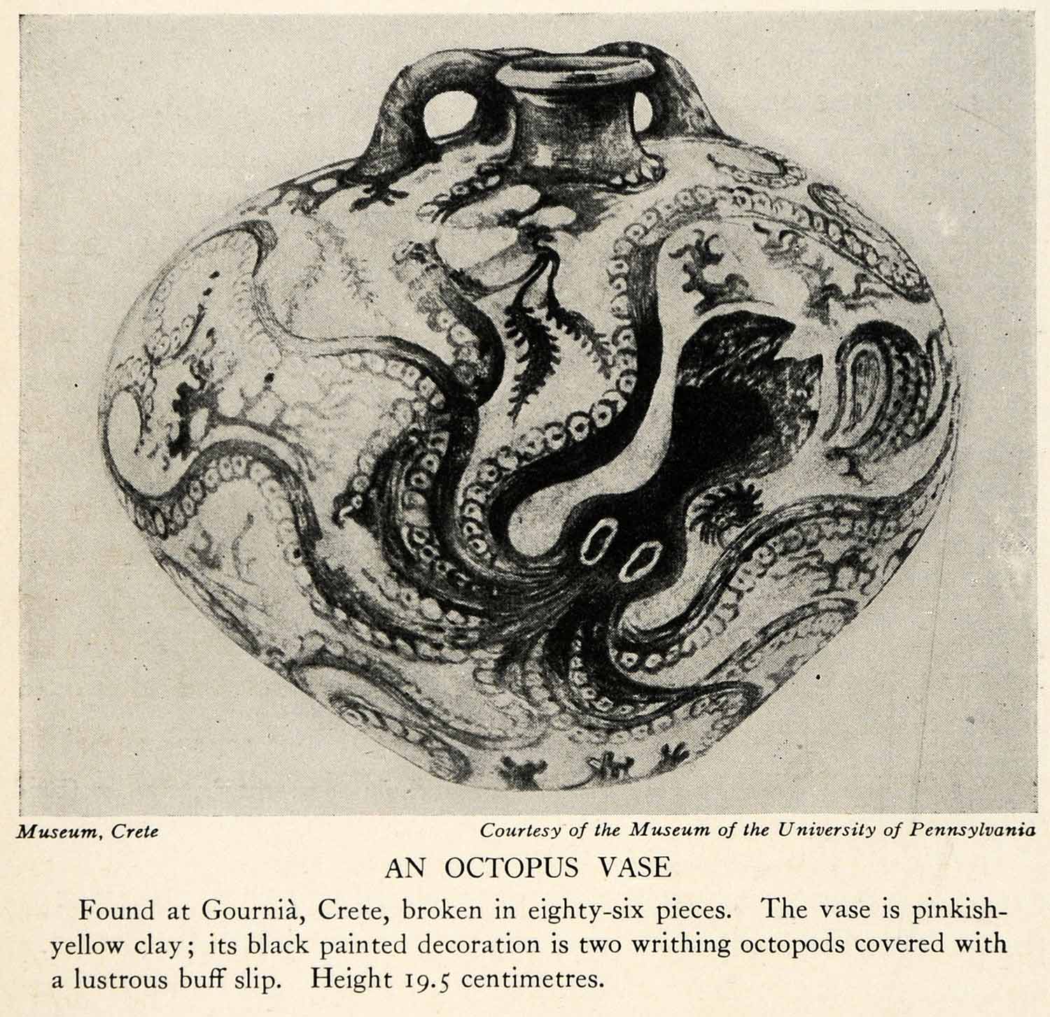 1929 Halftone Print Pottery Ceramics Octopus Vase Crete Archaeology