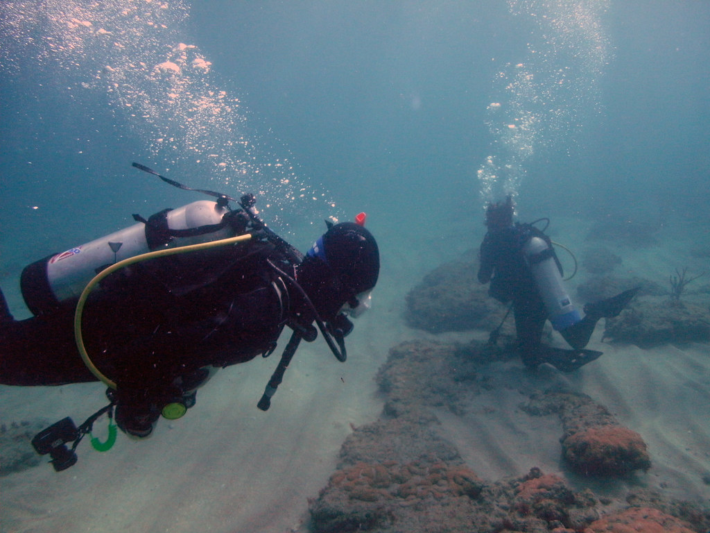 Scuba Diving in the Gulf off of Southwest Florida