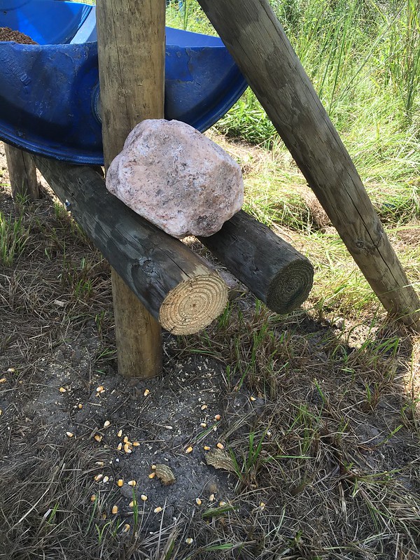 Couple of New Trough Feeders Deer Hunter Forum