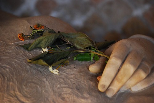 The fearful passage of their death mark'd love... Flickr Photo Sharing!