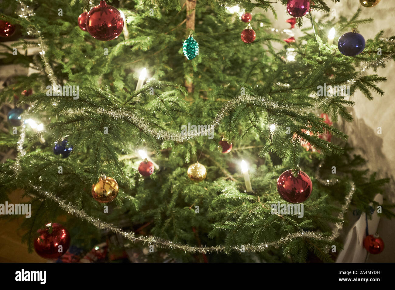Christmas tree hires stock photography and images Alamy