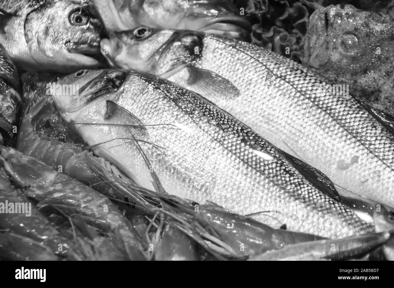 fresh fish & seafood close up view Stock Photo Alamy