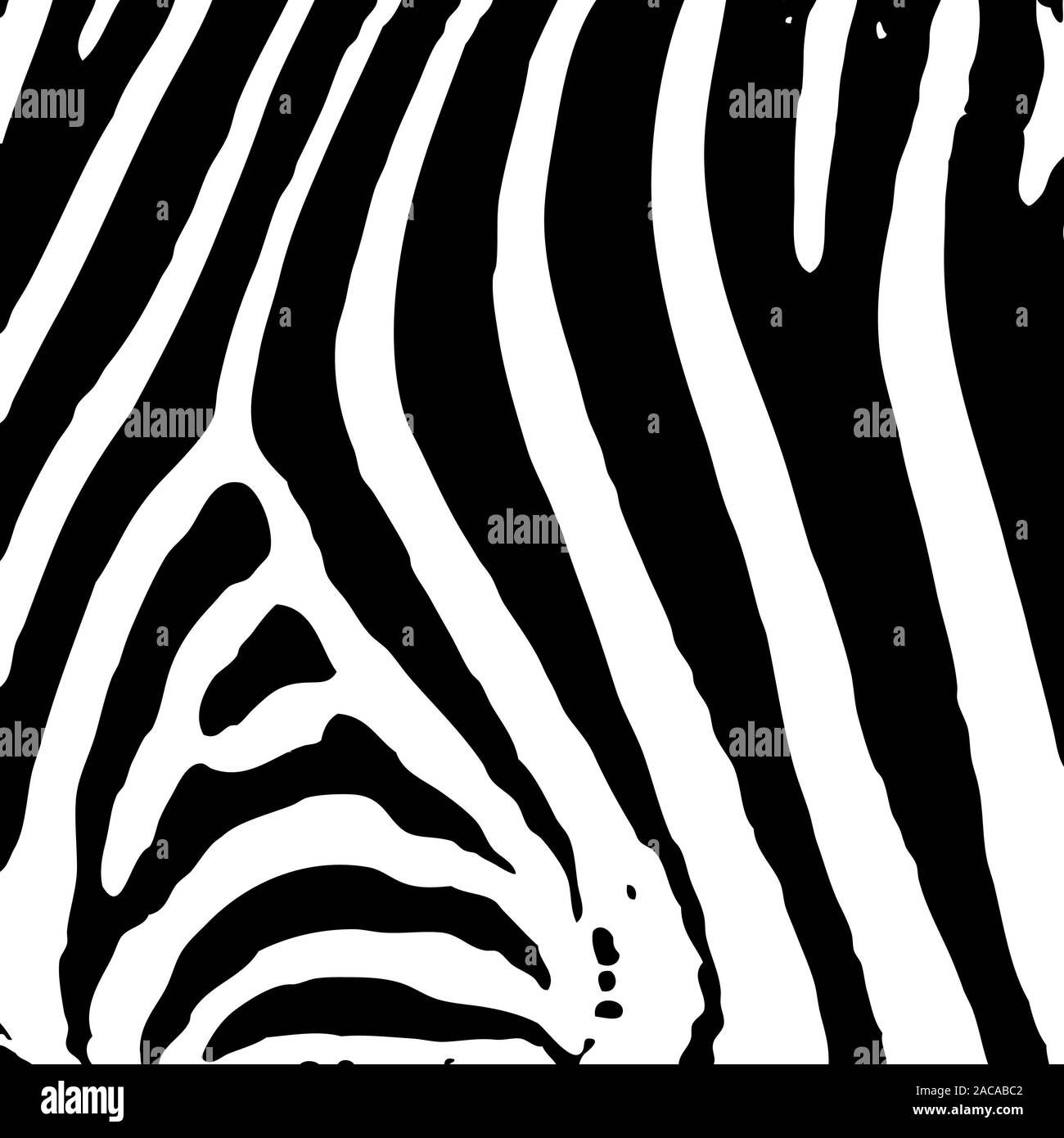 Zebra print wallpaper hires stock photography and images Alamy
