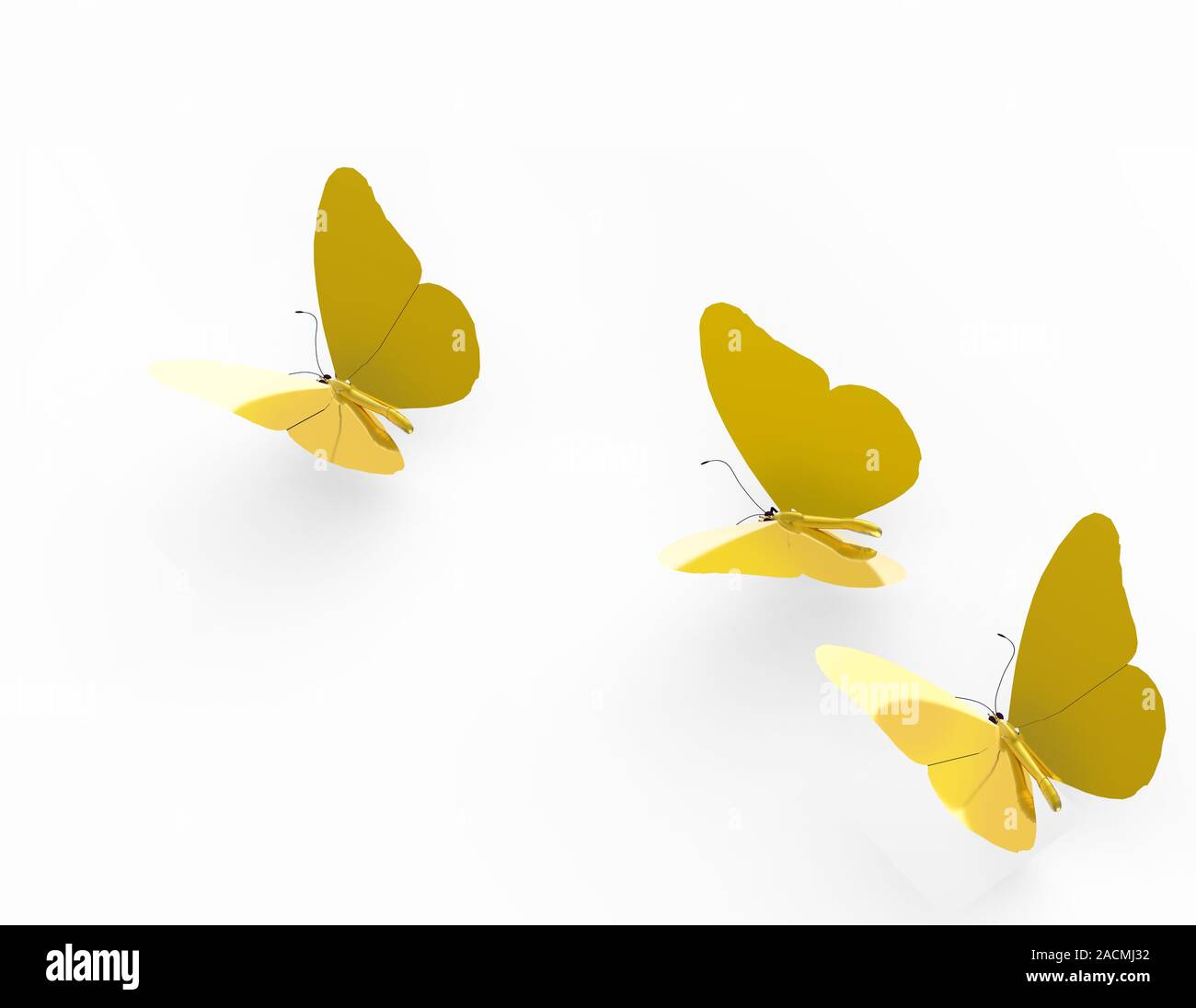 Metallic butterflies hires stock photography and images Alamy