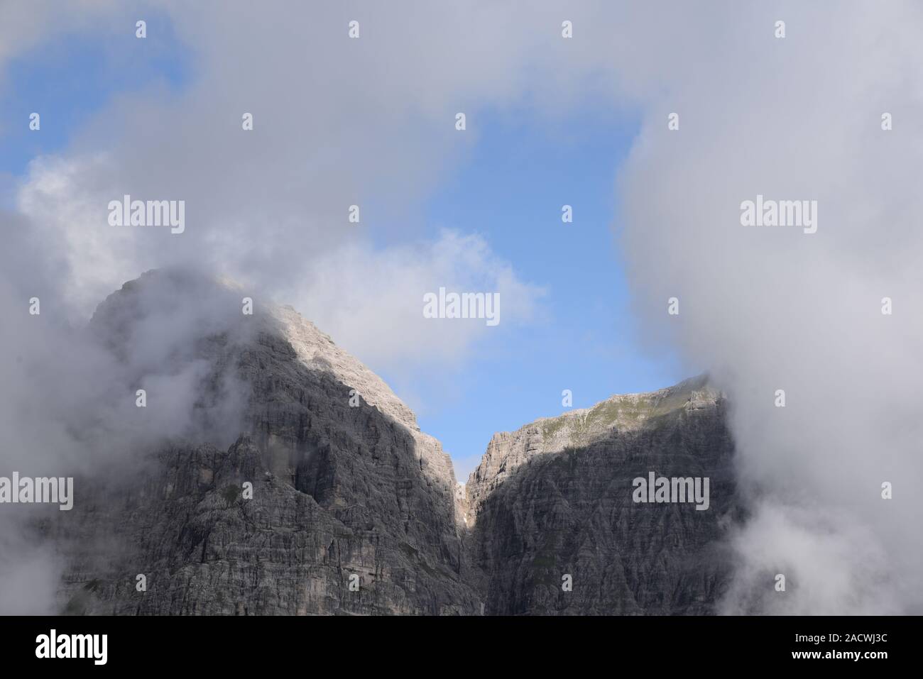 Lime birds with clouds Stock Photo Alamy