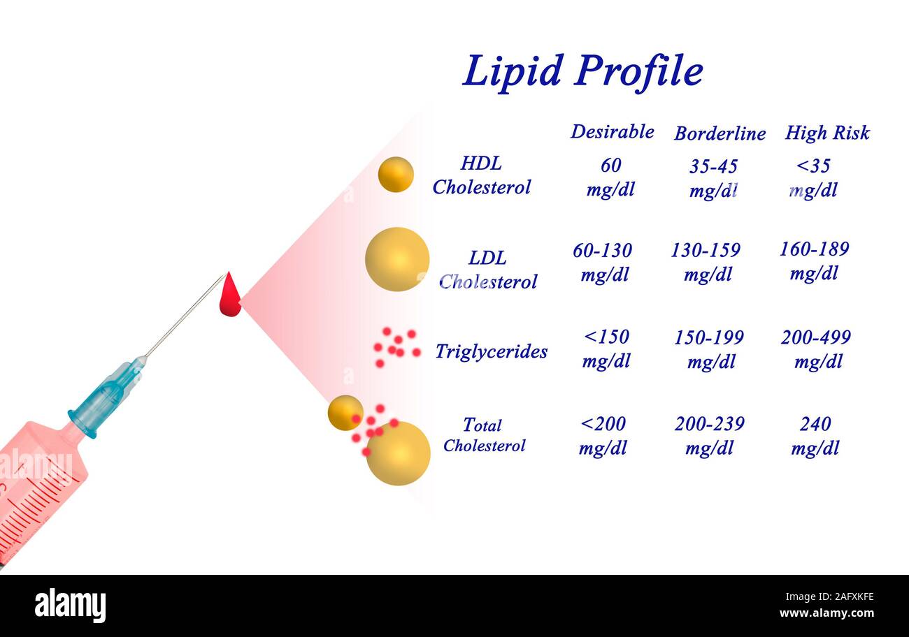 Lipid profile hires stock photography and images Alamy