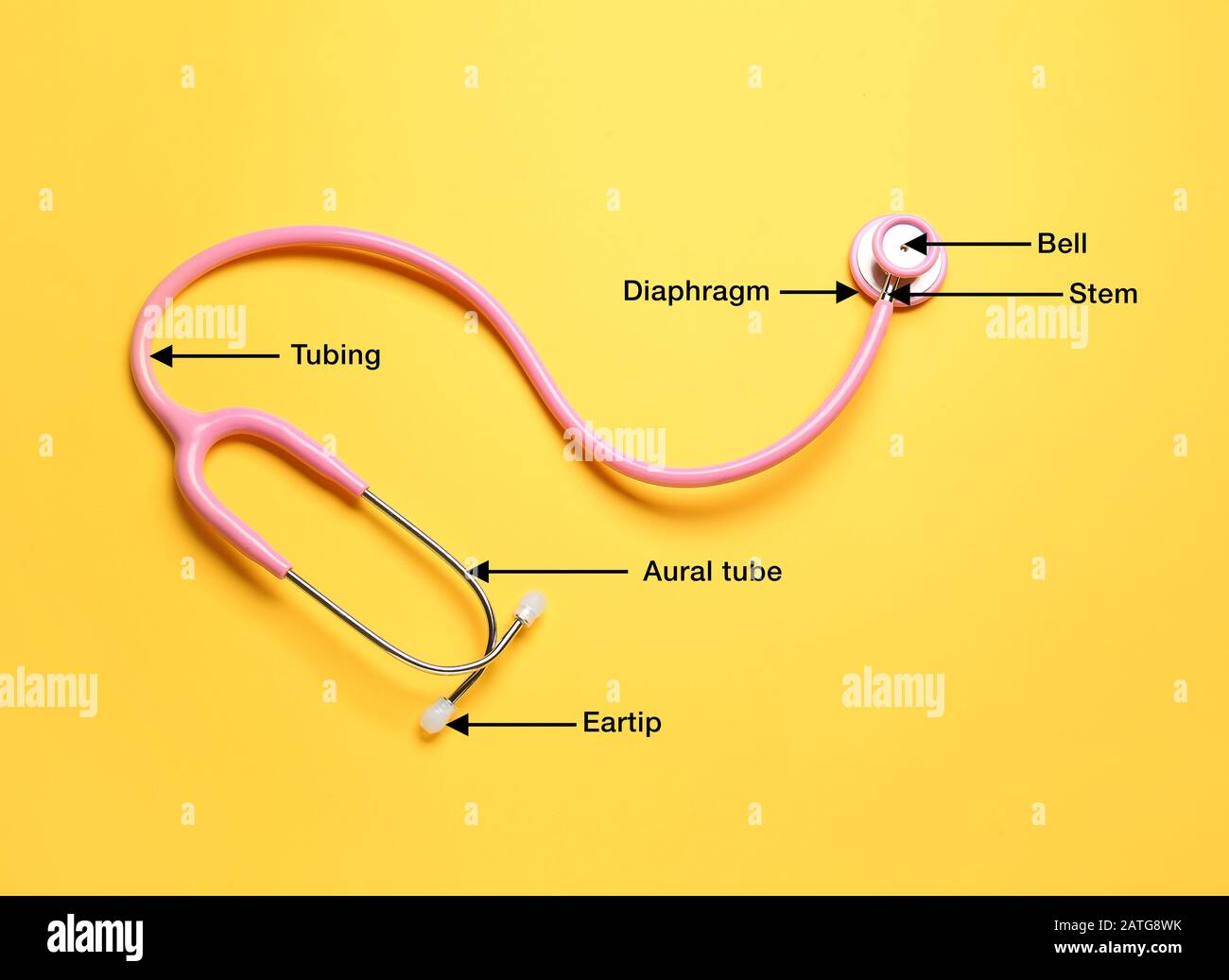 Modern stethoscope with names of particular parts on color background Stock Photo Alamy