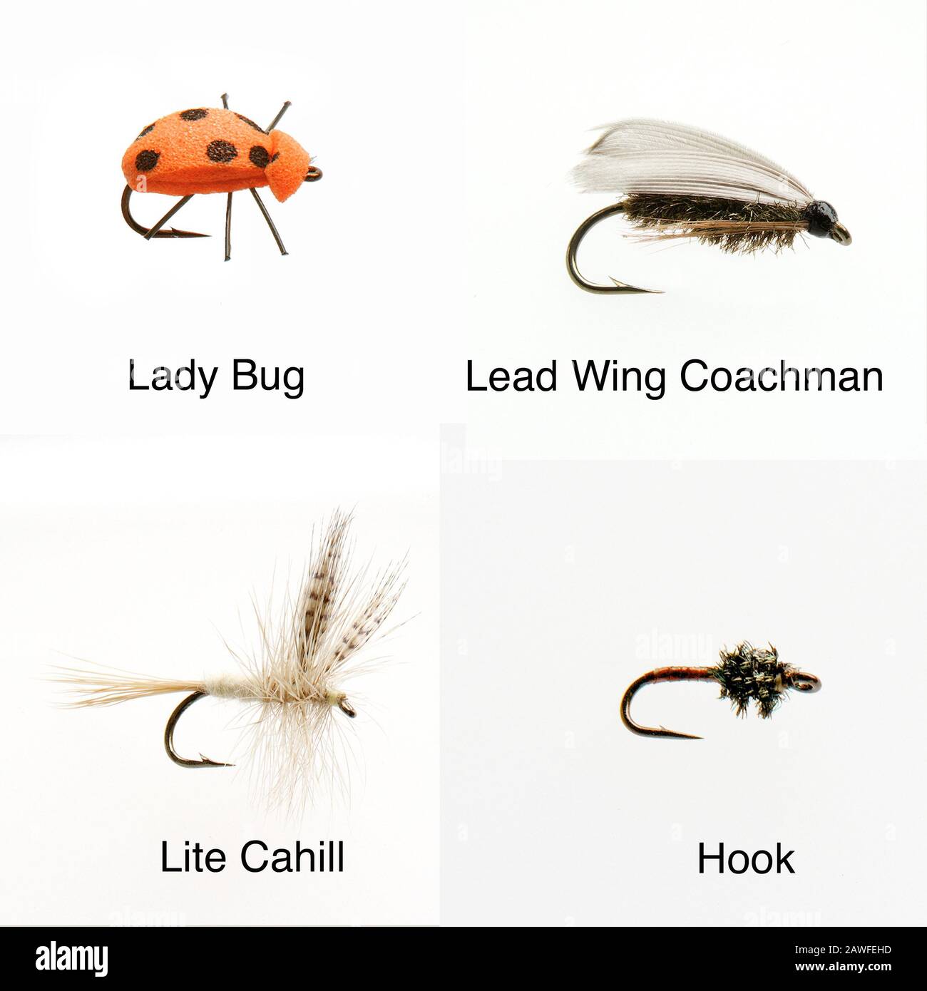Fishing Flies Stock Photo Alamy