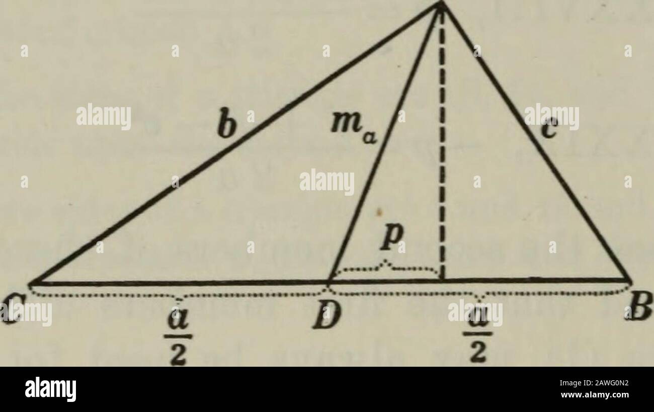 Can A Triangle Have More Than One Obtuse Angle Hey Blue Bird