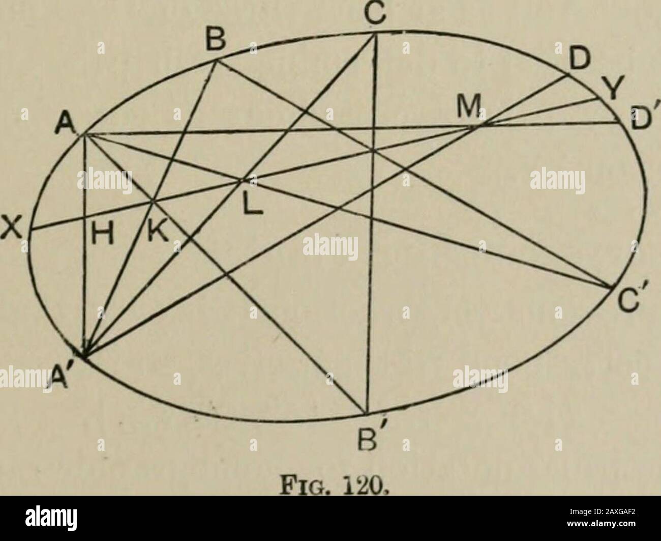 Collinear High Resolution Stock Photography and Images - Alamy