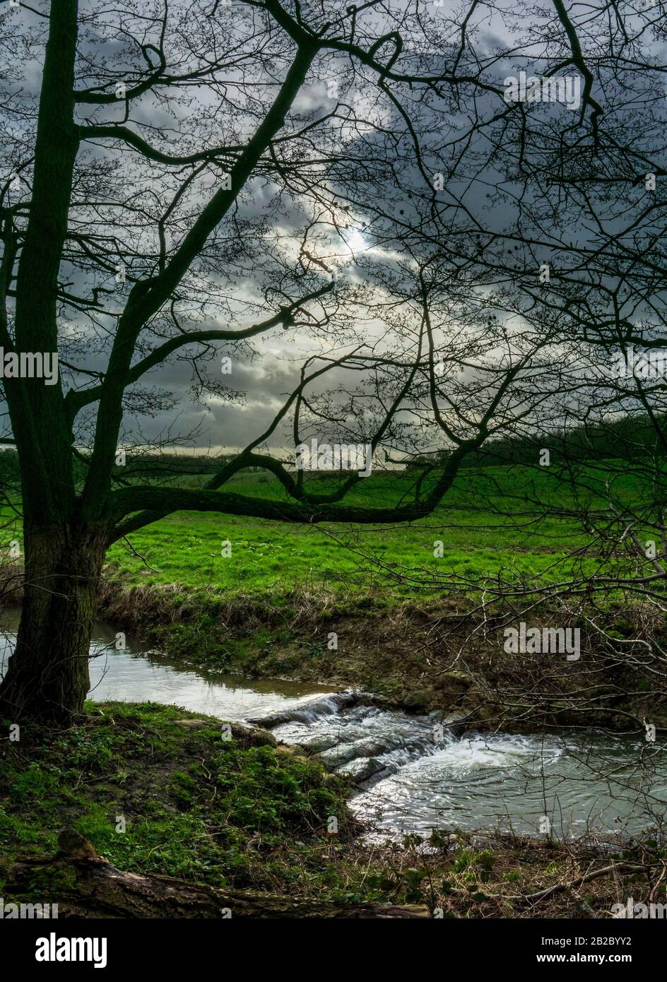 stream field edge Stock Photo Alamy