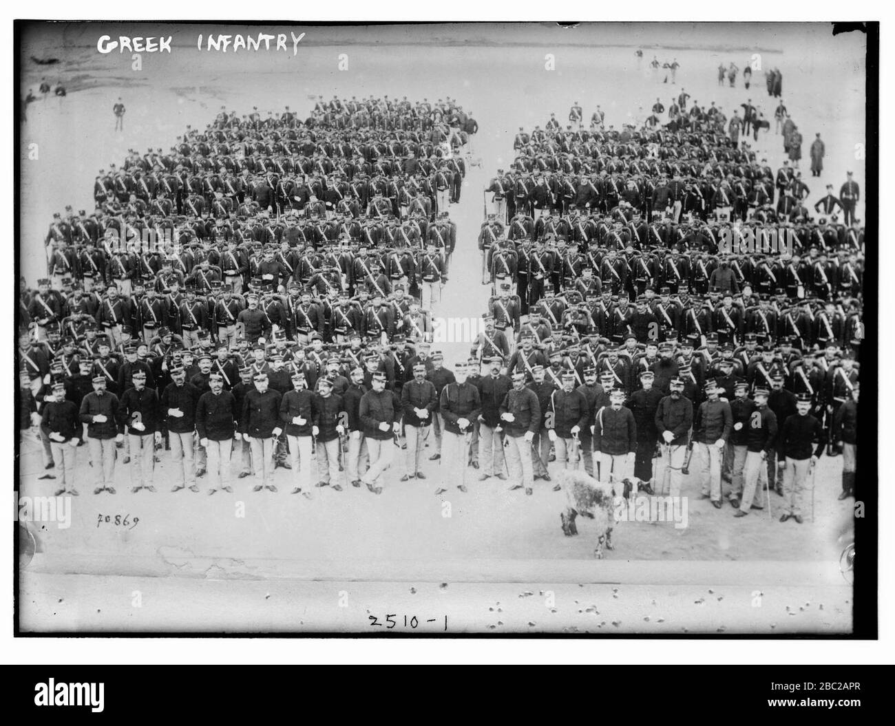 Greek infantry Cut Out Stock Images & Pictures Alamy