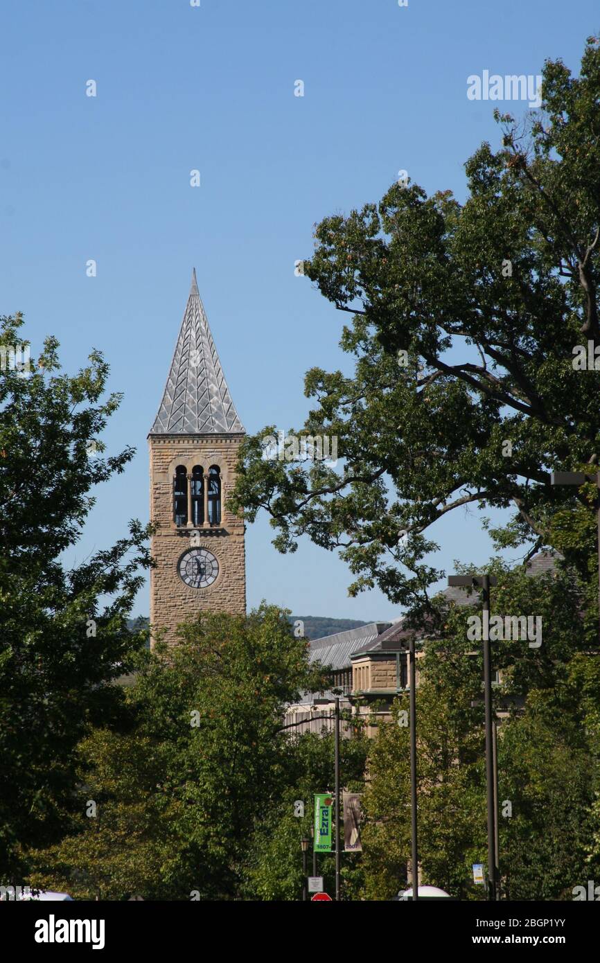 Cornell's Clock Tower through the Trees Stock Photo Alamy