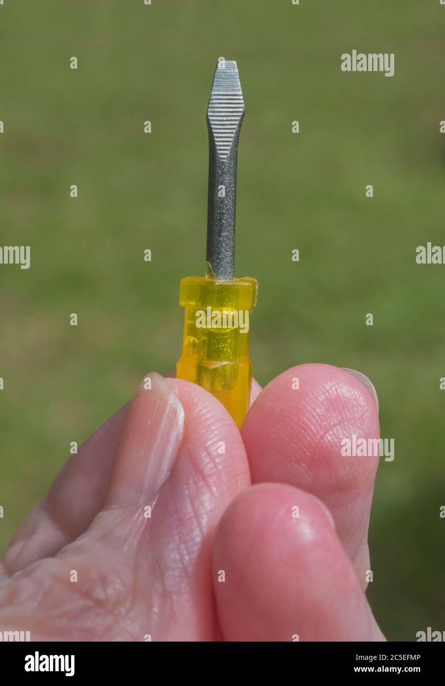 Tiny screwdriver ready for action Stock Photo Alamy
