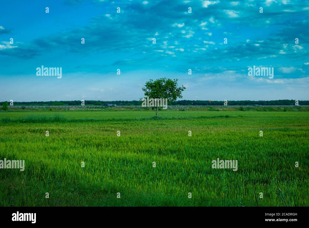 Greenfield background hires stock photography and images Alamy