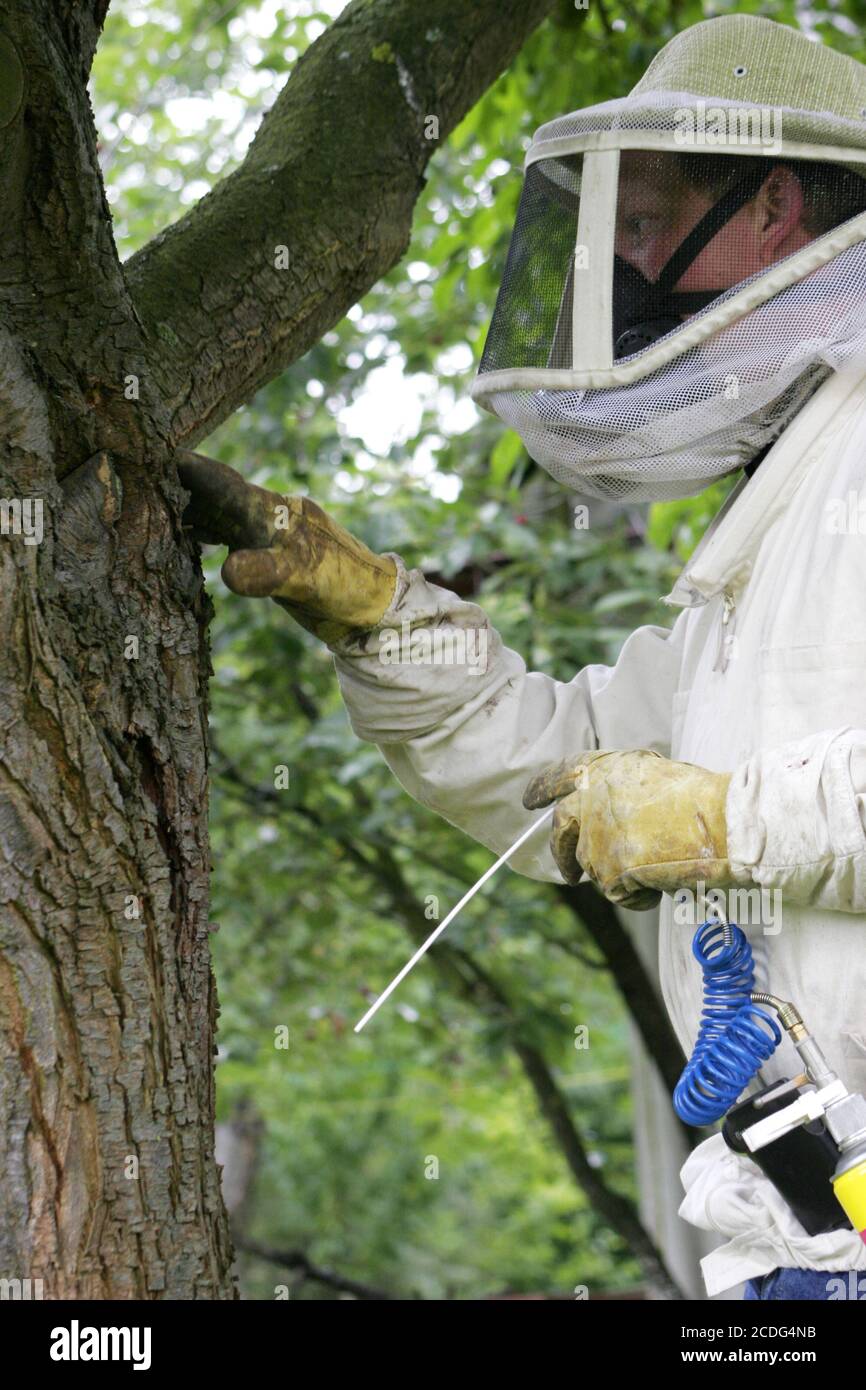 Ecological pest control hires stock photography and images Alamy