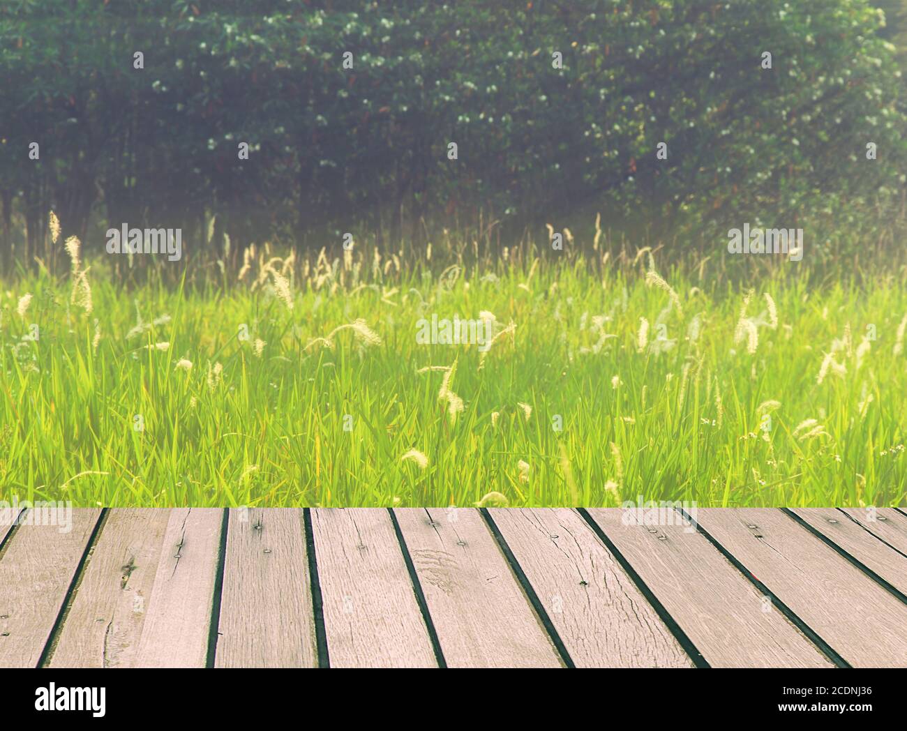 Wood table top Stock Photo Alamy