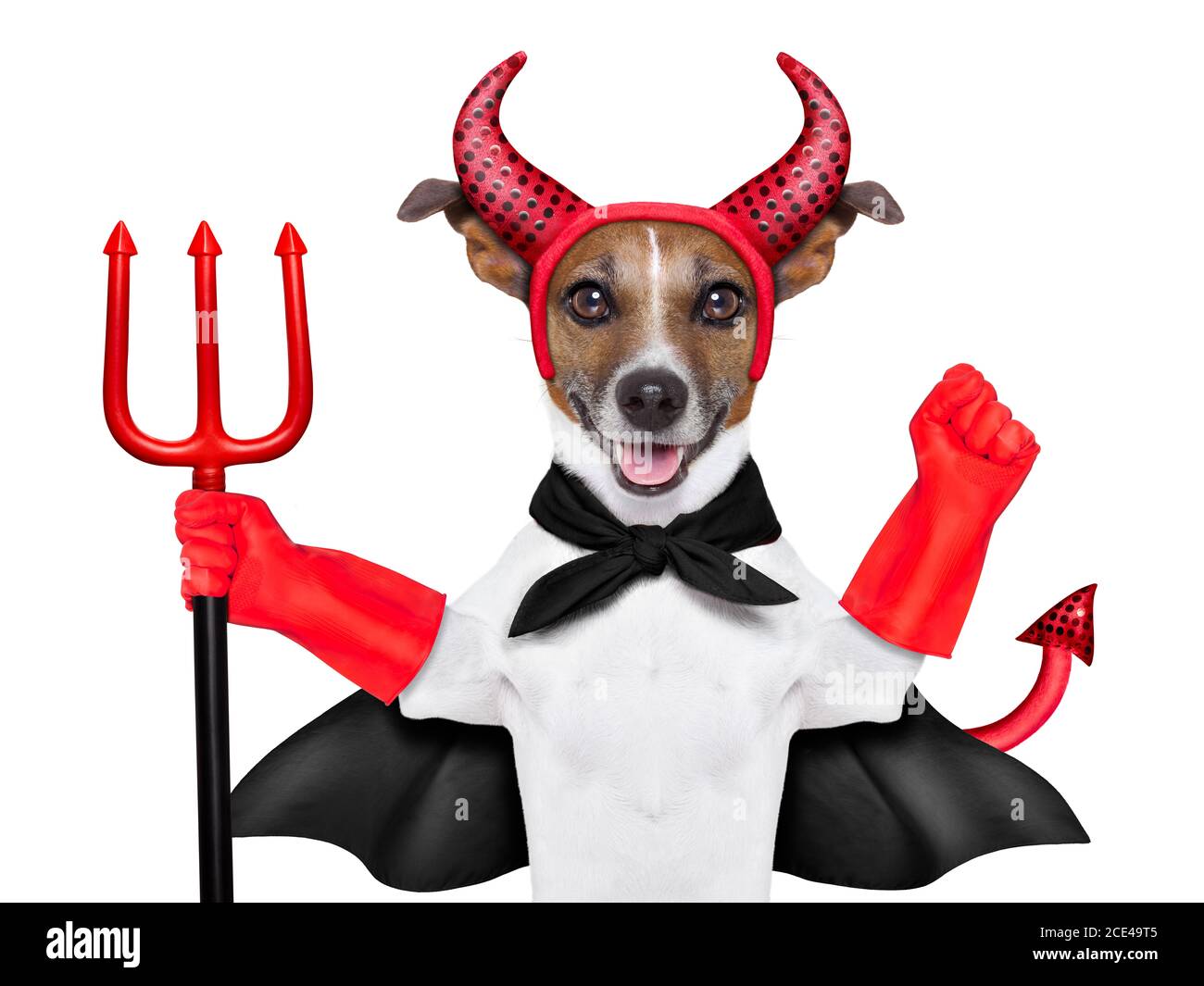 Devil dog hires stock photography and images Alamy