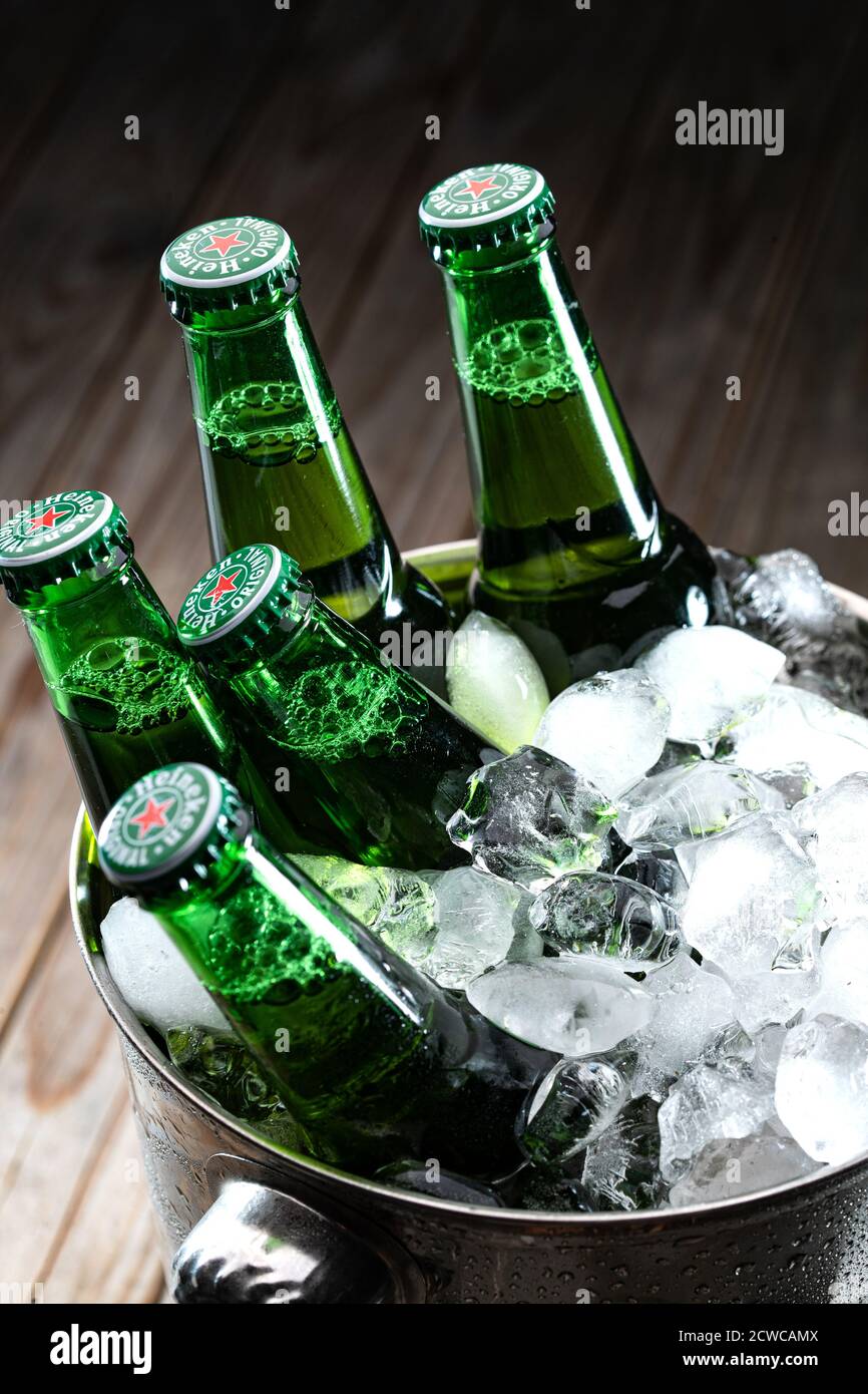 Chilled glass bottles of beer Stock Photo Alamy