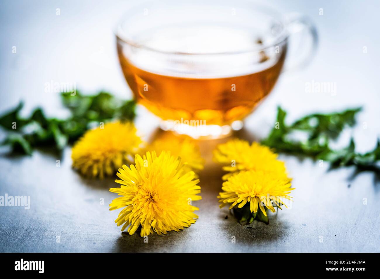 Dandelion tea Stock Photo Alamy