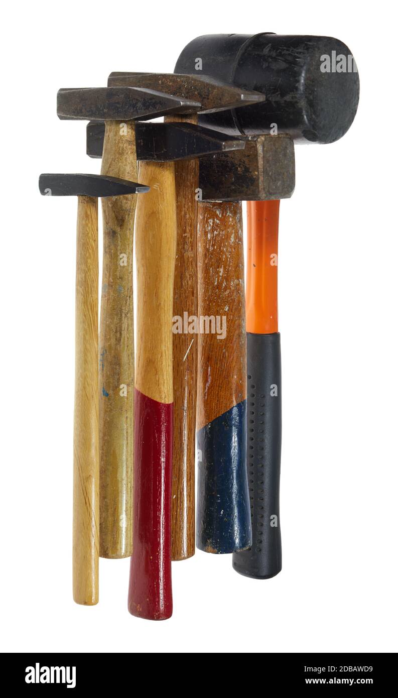 Malleus malleus hires stock photography and images Alamy