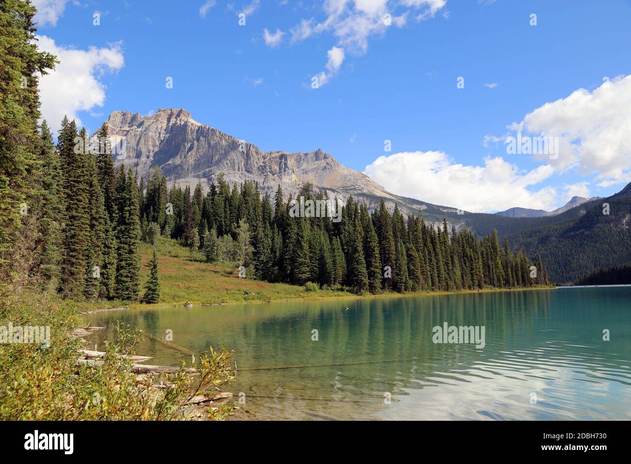 Emerald Lake, Canada Stock Photo Alamy