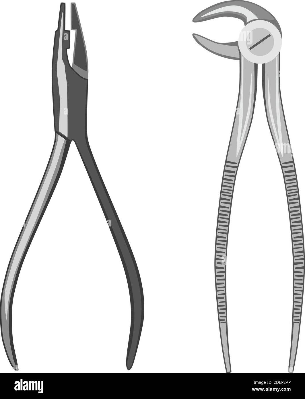 Upper Anterior Forceps
