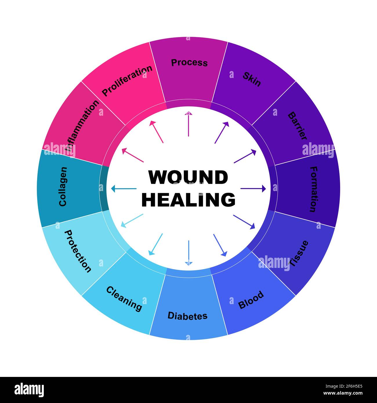 Wound Healing Diagram(04)