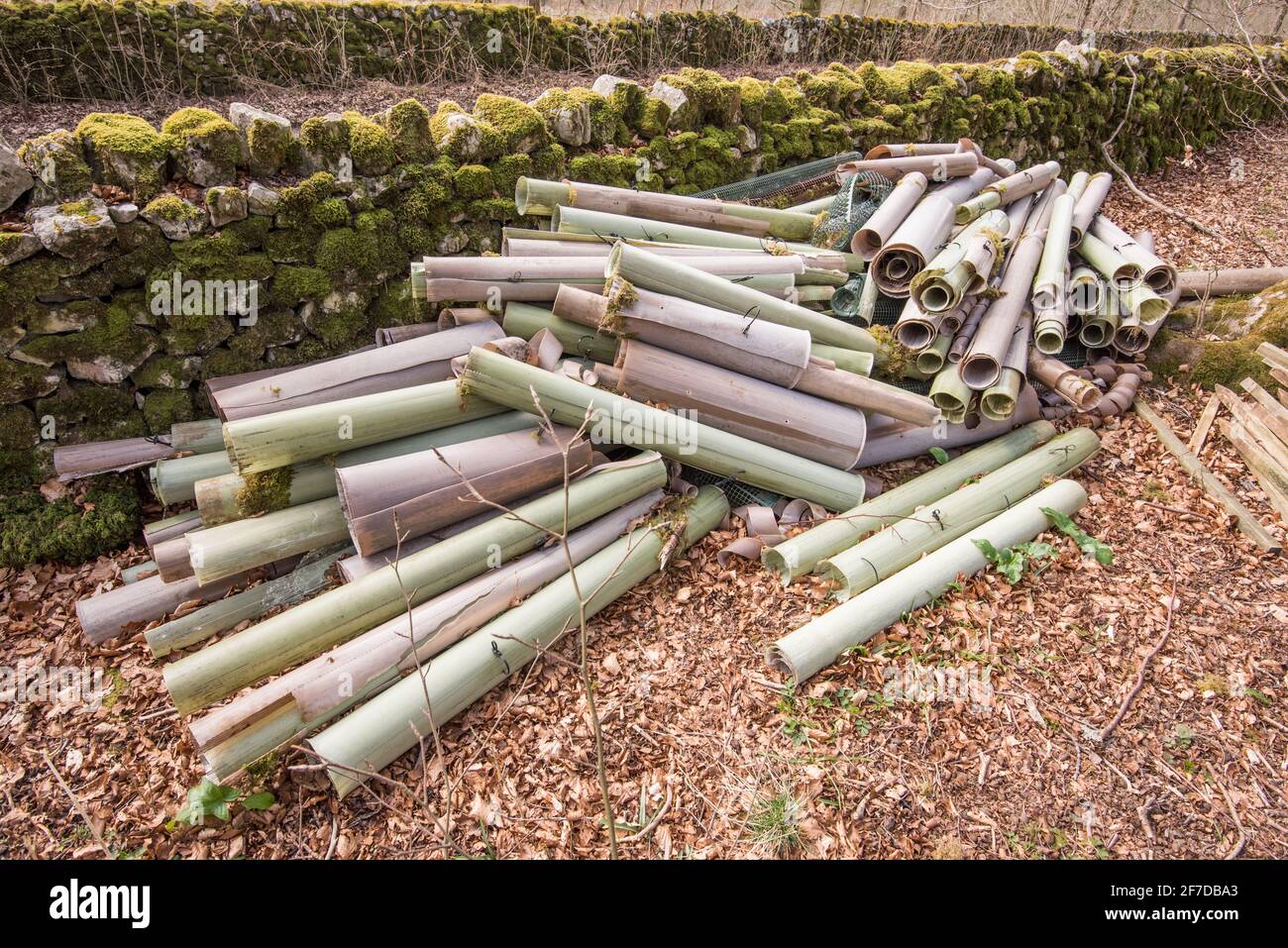 Plastic tree guards Stock Photo Alamy