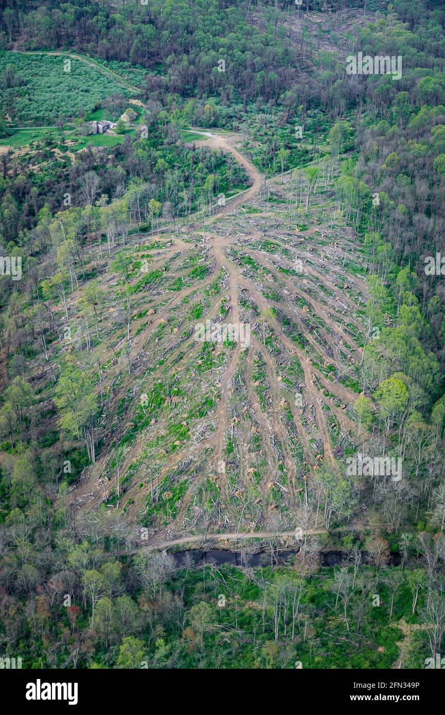 Land clearing hires stock photography and images Alamy